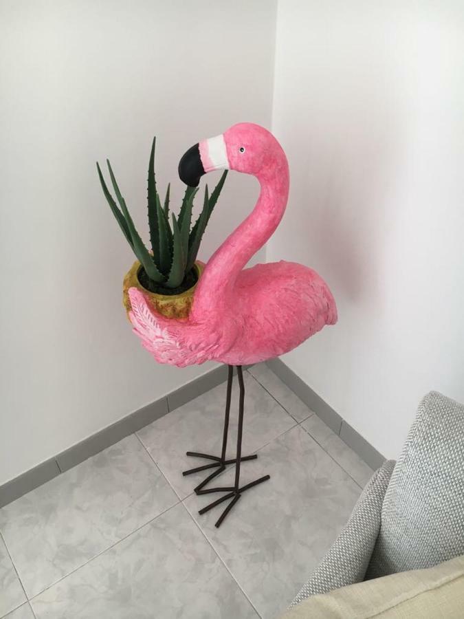 Sorelle Casa Vacanza Villa มาเตรา ภายนอก รูปภาพ